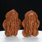 "Little Bird" Time-honored entry level Wenwan Walnuts Pair | Size:30L*29W*43H | UPI:UR-00040