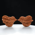 "Little Bird" Time-honored entry level Wenwan Walnuts Pair | Size:30L*29W*43H | UPI:UR-00040