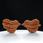 "Little Bird" Time-honored entry level Wenwan Walnuts Pair | Size:30L*29W*43H | UPI:UR-00040