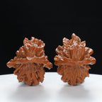 "Little Bird" Time-honored entry level Wenwan Walnuts Pair | Size:30L*29W*43H | UPI:UR-00040