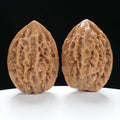 ”Fortune Mouse / Bodhi Seed” Fortune Rat (Nine-Story Pagoda Origin) Tall-Stature Wenwan Walnuts Pair | Size:38L*41W*53H | UPI:UR-00041