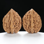 ”Fortune Mouse / Bodhi Seed” Fortune Rat (Nine-Story Pagoda Origin) Tall-Stature Wenwan Walnuts Pair | Size:38L*41W*53H | UPI:UR-00041