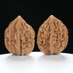 ”Fortune Mouse / Bodhi Seed” Fortune Rat (Nine-Story Pagoda Origin) Tall-Stature Wenwan Walnuts Pair | Size:38L*41W*53H | UPI:UR-00041