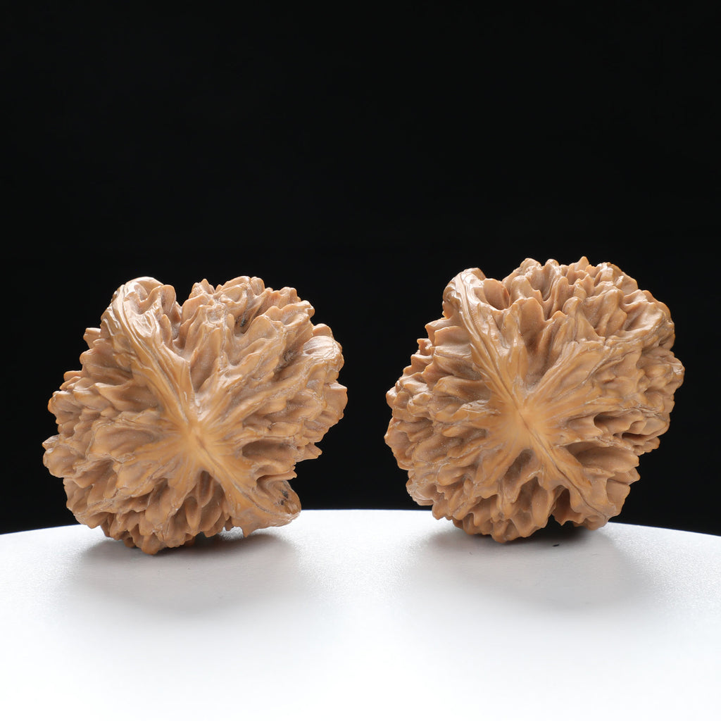 ”Fortune Mouse / Bodhi Seed” Fortune Rat (Nine-Story Pagoda Origin) Tall-Stature Wenwan Walnuts Pair | Size:38L*41W*53H | UPI:UR-00041