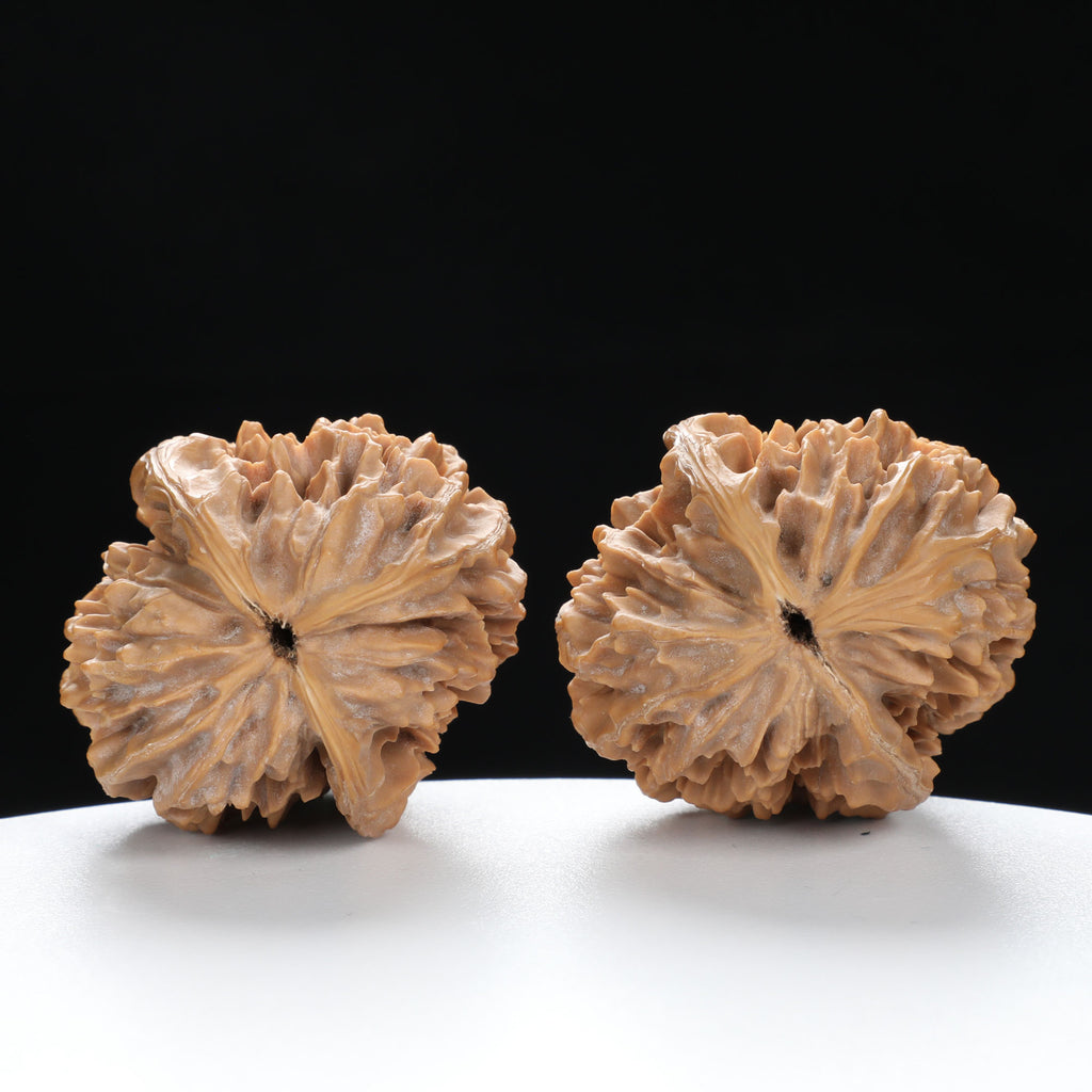 ”Fortune Mouse / Bodhi Seed” Fortune Rat (Nine-Story Pagoda Origin) Tall-Stature Wenwan Walnuts Pair | Size:38L*41W*53H | UPI:UR-00041