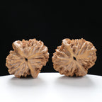 ”Fortune Mouse / Bodhi Seed” Fortune Rat (Nine-Story Pagoda Origin) Tall-Stature Wenwan Walnuts Pair | Size:38L*41W*53H | UPI:UR-00041
