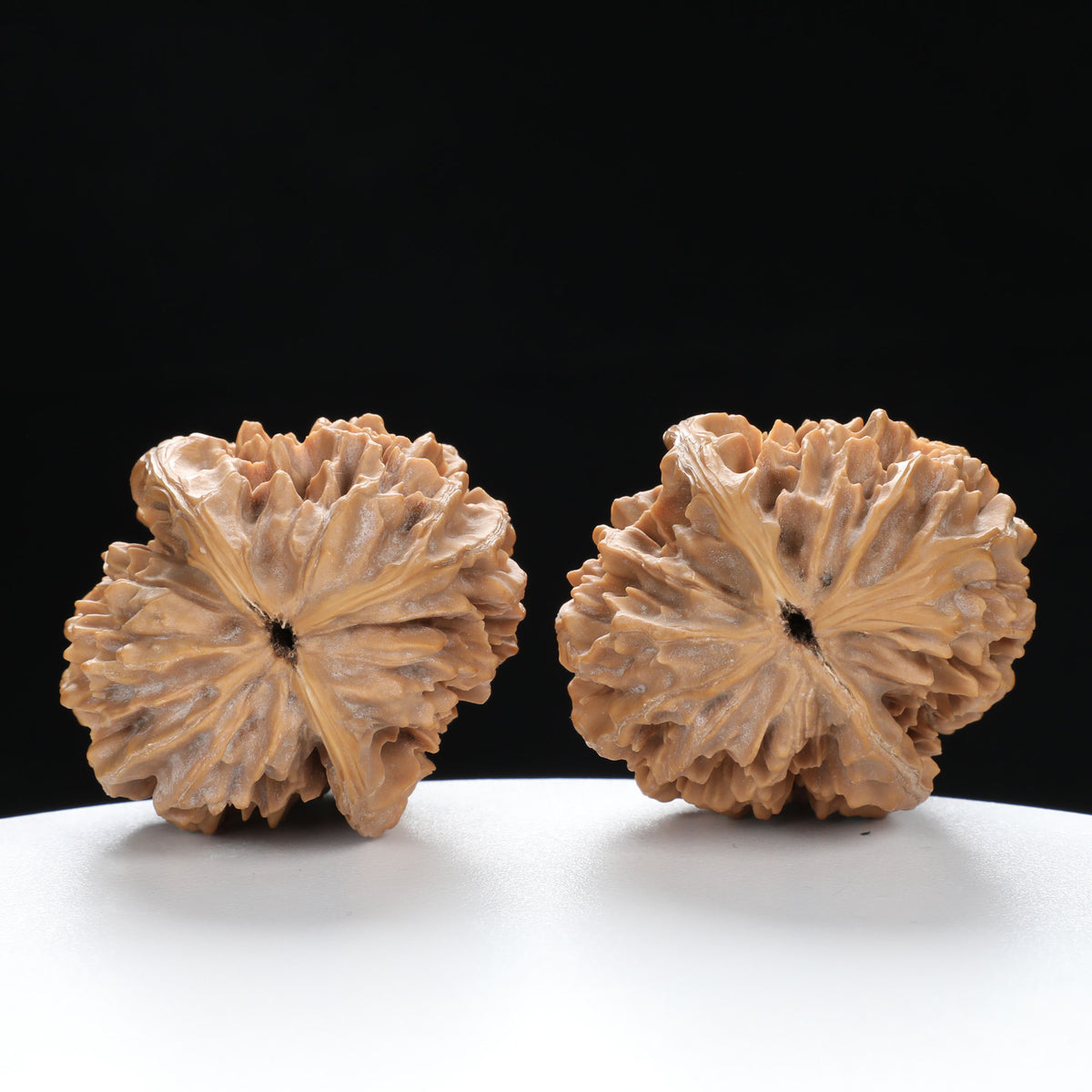 ”Fortune Mouse / Bodhi Seed” Fortune Rat (Nine-Story Pagoda Origin) Tall-Stature Wenwan Walnuts Pair | Size:38L*41W*53H | UPI:UR-00041