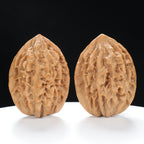 “Fortune Mouse / Bodhi Seed” Fortune Rat (Nine-Story Pagoda Origin) Tall-Stature Wenwan Walnuts Pair | Size:37L*41W*52H | UPI:UR-00042