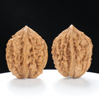 “Fortune Mouse / Bodhi Seed” Fortune Rat (Nine-Story Pagoda Origin) Tall-Stature Wenwan Walnuts Pair | Size:37L*41W*52H | UPI:UR-00042
