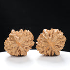 “Fortune Mouse / Bodhi Seed” Fortune Rat (Nine-Story Pagoda Origin) Tall-Stature Wenwan Walnuts Pair | Size:37L*41W*52H | UPI:UR-00042