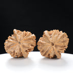 “Fortune Mouse / Bodhi Seed” Fortune Rat (Nine-Story Pagoda Origin) Tall-Stature Wenwan Walnuts Pair | Size:37L*41W*52H | UPI:UR-00042