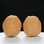 "Toad Head" Classic entry level Wenwan Walnuts Pair | Size:30L*38W*34H | UPI:UR-00044