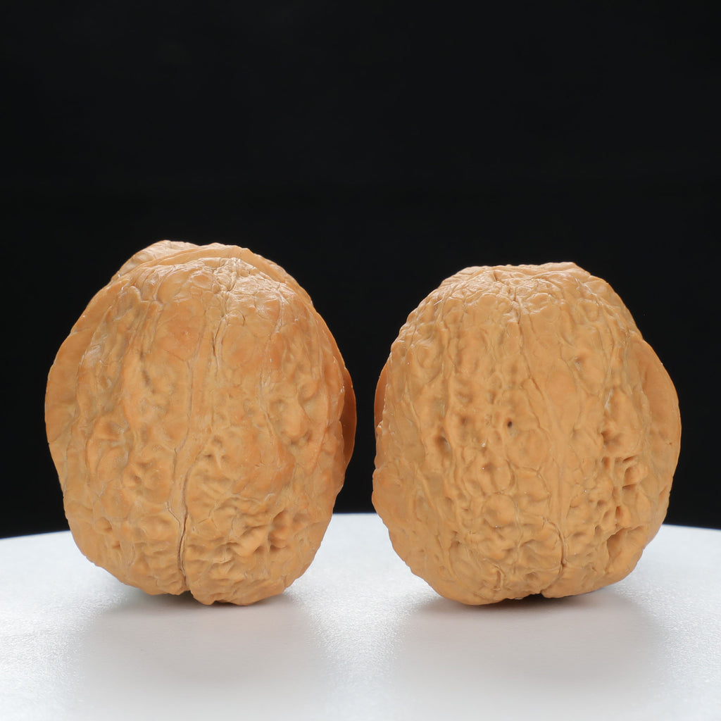 "Toad Head" Classic entry level Wenwan Walnuts Pair | Size:30L*38W*34H | UPI:UR-00044