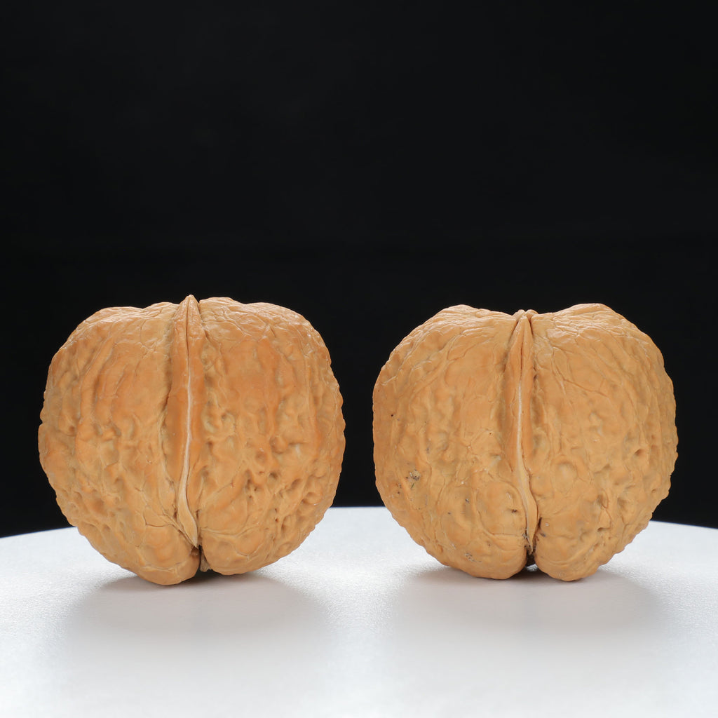 "Toad Head" Classic entry level Wenwan Walnuts Pair | Size:30L*38W*34H | UPI:UR-00044