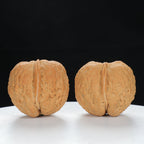 "Toad Head" Classic entry level Wenwan Walnuts Pair | Size:30L*38W*34H | UPI:UR-00044