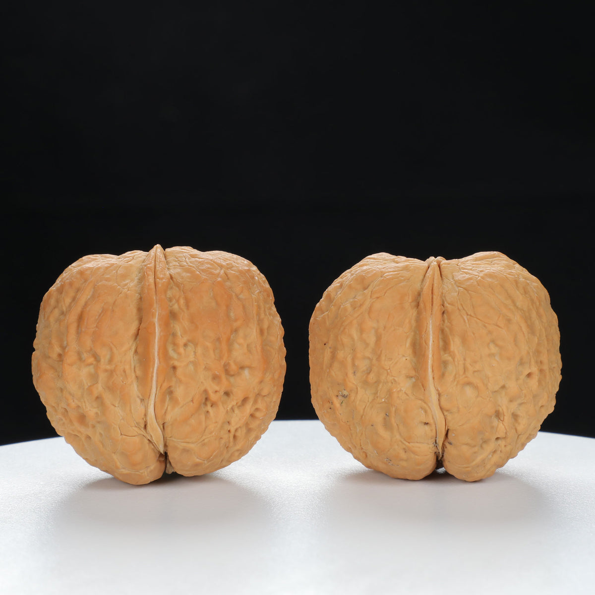 "Toad Head" Classic entry level Wenwan Walnuts Pair | Size:30L*38W*34H | UPI:UR-00044