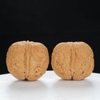 "Toad Head" Classic entry level Wenwan Walnuts Pair | Size:30L*38W*34H | UPI:UR-00044