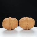 "Toad Head" Classic entry level Wenwan Walnuts Pair | Size:30L*38W*34H | UPI:UR-00044