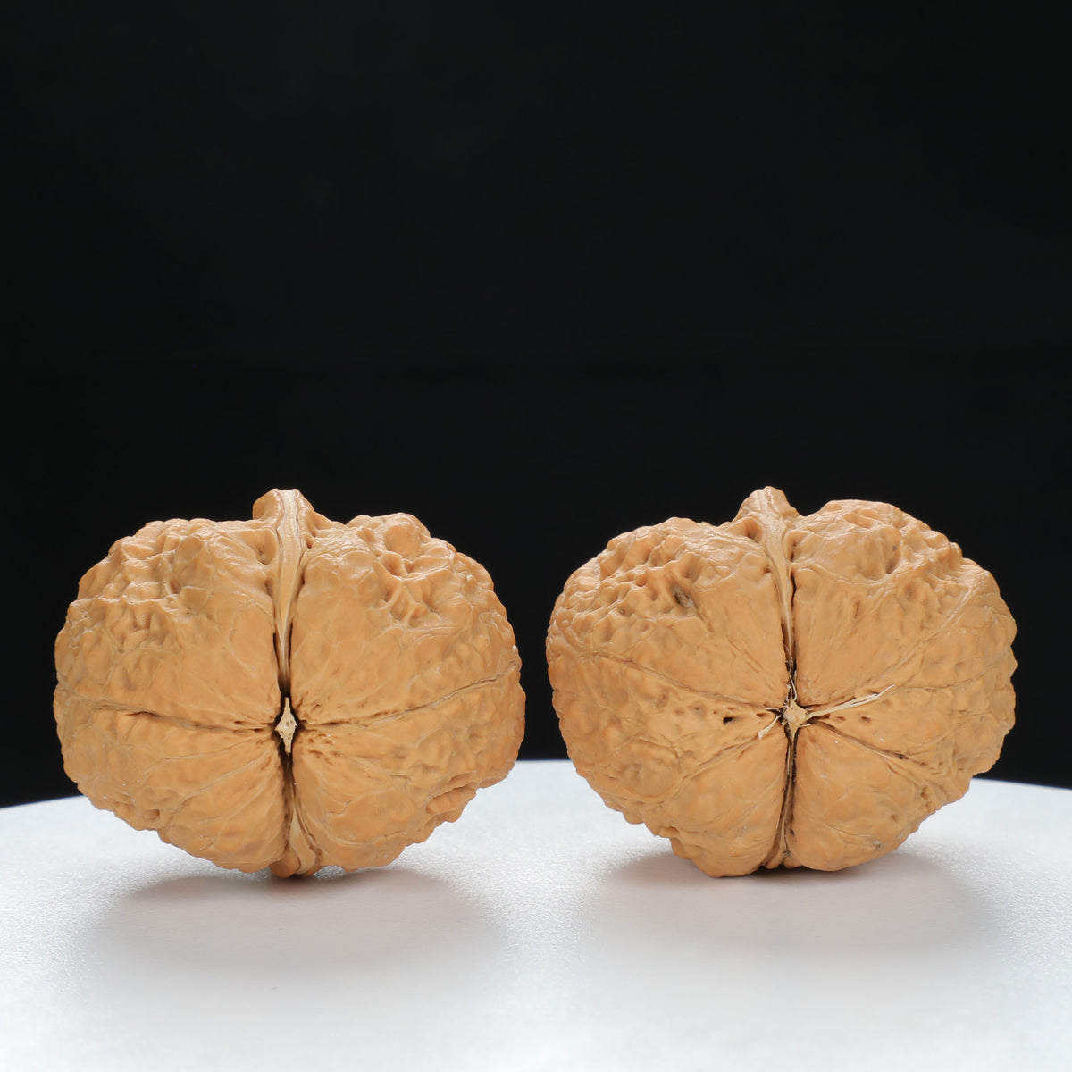 "Toad Head" Classic entry level Wenwan Walnuts Pair | Size:30L*38W*34H | UPI:UR-00044