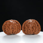 "Palace Lantern" Essential entry level Wenwan Walnuts Pair | Size:43L*40W*35H | UPI:UR-00046