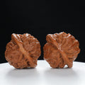 "Palace Lantern" Essential entry level Wenwan Walnuts Pair | Size:43L*40W*35H | UPI:UR-00046
