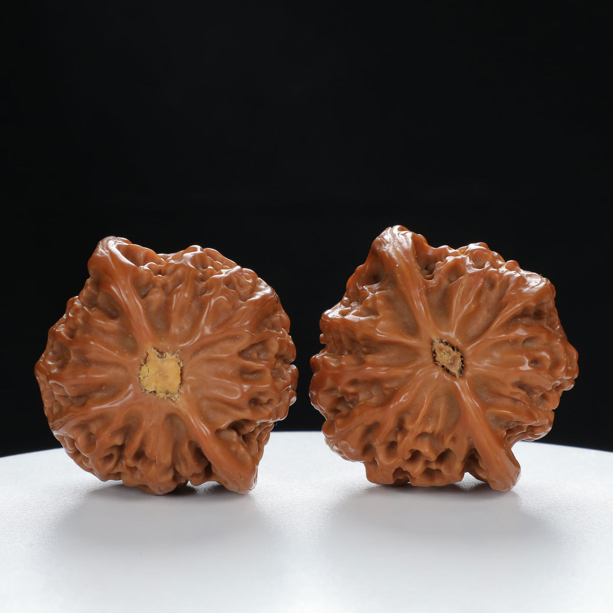 "Palace Lantern" Essential entry level Wenwan Walnuts Pair | Size:43L*40W*35H | UPI:UR-00046