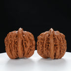 "Si Zuo Lou" Traditional entry level Wenwan Walnuts Pair | Size:41L*40W*40H | UPI:UR-00047