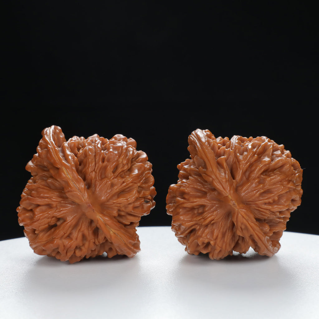 "Si Zuo Lou" Traditional entry level Wenwan Walnuts Pair | Size:41L*40W*40H | UPI:UR-00047