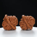 "Si Zuo Lou" Traditional entry level Wenwan Walnuts Pair | Size:41L*40W*40H | UPI:UR-00047