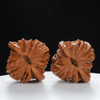 "Si Zuo Lou" Traditional entry level Wenwan Walnuts Pair | Size:41L*40W*40H | UPI:UR-00047