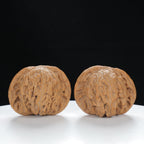 "Millstone" Distinctive entry level Wenwan Walnuts Pair | Size:40L*36W*30H | UPI:UR-00050