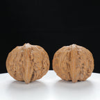 "Millstone" Distinctive entry level Wenwan Walnuts Pair | Size:40L*36W*30H | UPI:UR-00050
