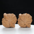 "Millstone" Distinctive entry level Wenwan Walnuts Pair | Size:40L*36W*30H | UPI:UR-00050