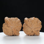 "Millstone" Distinctive entry level Wenwan Walnuts Pair | Size:40L*36W*30H | UPI:UR-00050