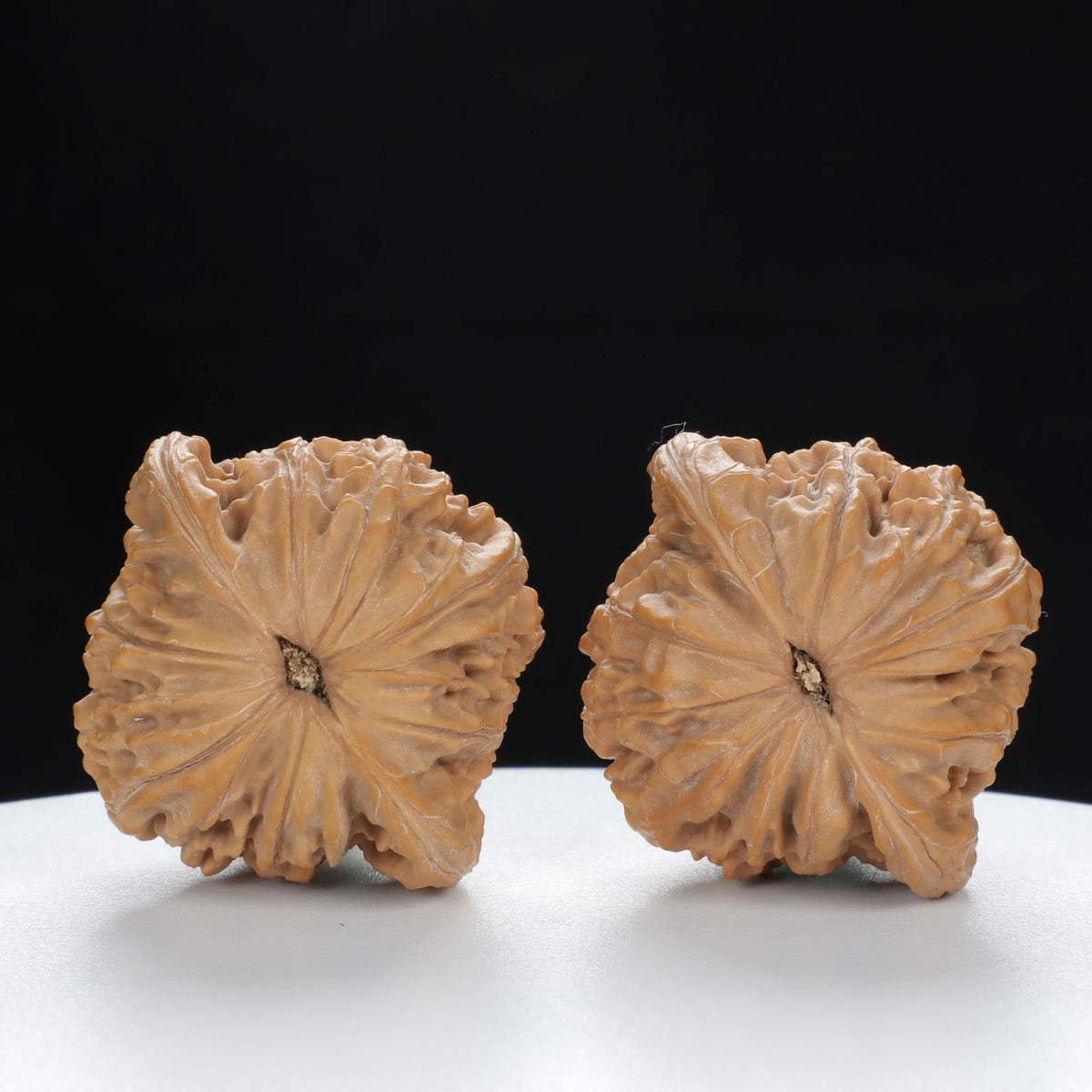"Millstone" Distinctive entry level Wenwan Walnuts Pair | Size:40L*36W*30H | UPI:UR-00050