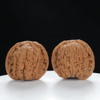"Nanjiang Stone" Refined entry level Wenwan Walnuts Pair | Size:41L*39W*37H | UPI:UR-00051