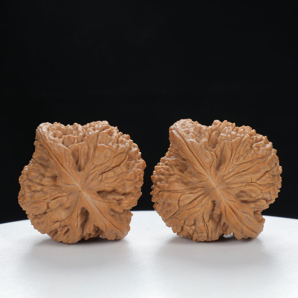 "Nanjiang Stone" Refined entry level Wenwan Walnuts Pair | Size:41L*39W*37H | UPI:UR-00051