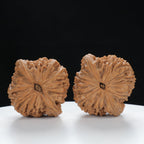 "Nanjiang Stone" Refined entry level Wenwan Walnuts Pair | Size:41L*39W*37H | UPI:UR-00051
