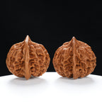 “Qilin Scale Pattern” Imperial Collection Qilin Guanmao Walnuts Pair 48L*47W*44H | UPI:UR-00052