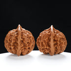 “Qilin Scale Pattern” Imperial Collection Qilin Guanmao Walnuts Pair 48L*47W*44H | UPI:UR-00052