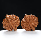 “Qilin Scale Pattern” Imperial Collection Qilin Guanmao Walnuts Pair 48L*47W*44H | UPI:UR-00052