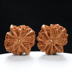 “Qilin Scale Pattern” Imperial Collection Qilin Guanmao Walnuts Pair 48L*47W*44H | UPI:UR-00052