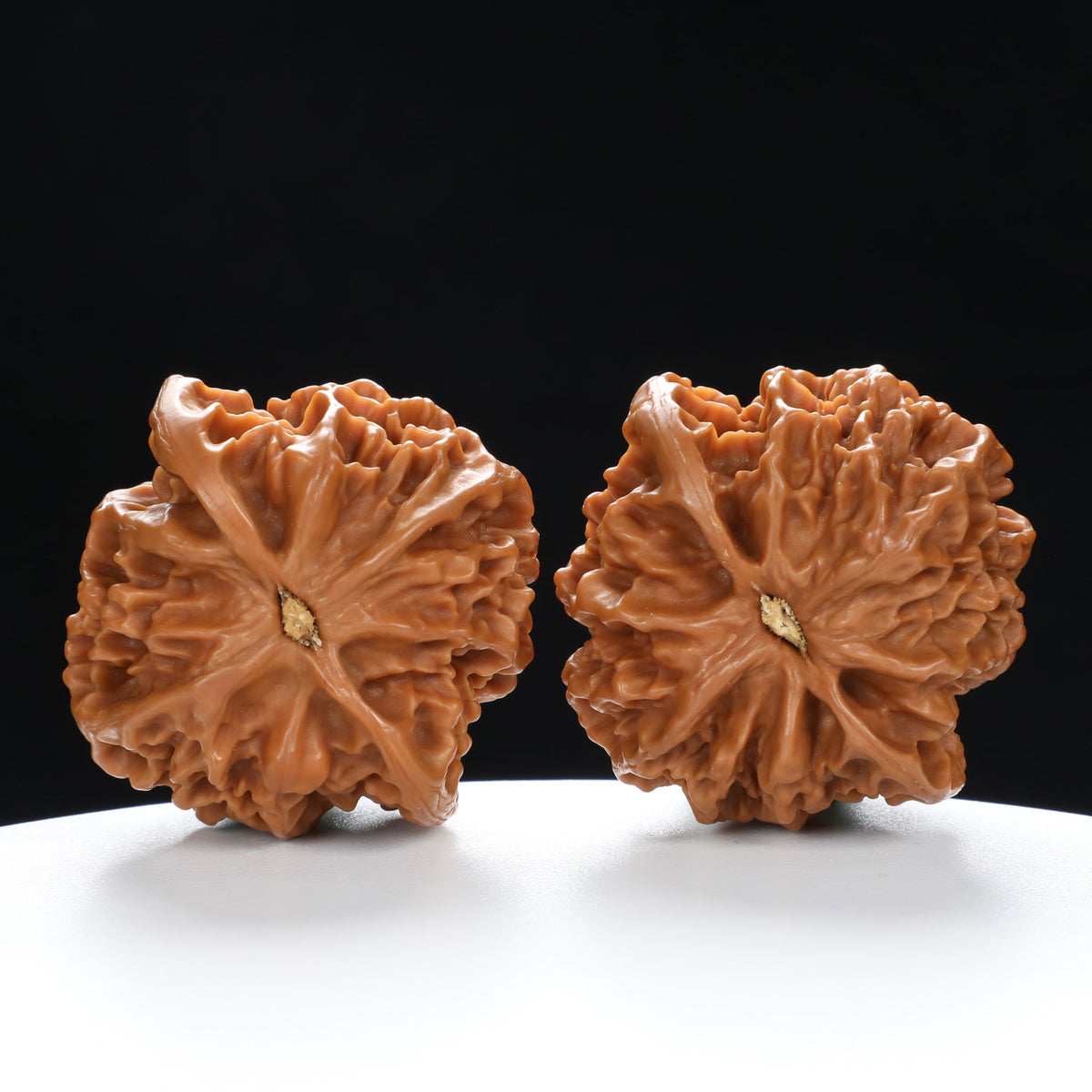 “Qilin Scale Pattern” Imperial Collection Qilin Guanmao Walnuts Pair 48L*47W*44H | UPI:UR-00052