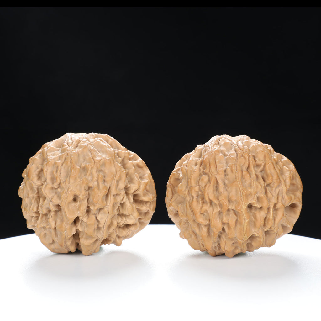 “Snake Head” Collector's Rare Deep Concave Treasure Basin Snake Head Hand-Matched Wenwan Walnuts Pair | Size:47L*30W*40H | UPI:UR-00068