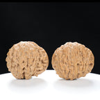 “Snake Head” Collector's Rare Deep Concave Treasure Basin Snake Head Hand-Matched Wenwan Walnuts Pair | Size:47L*30W*40H | UPI:UR-00068