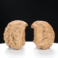 “Snake Head” Collector's Rare Deep Concave Treasure Basin Snake Head Hand-Matched Wenwan Walnuts Pair | Size:47L*30W*40H | UPI:UR-00068