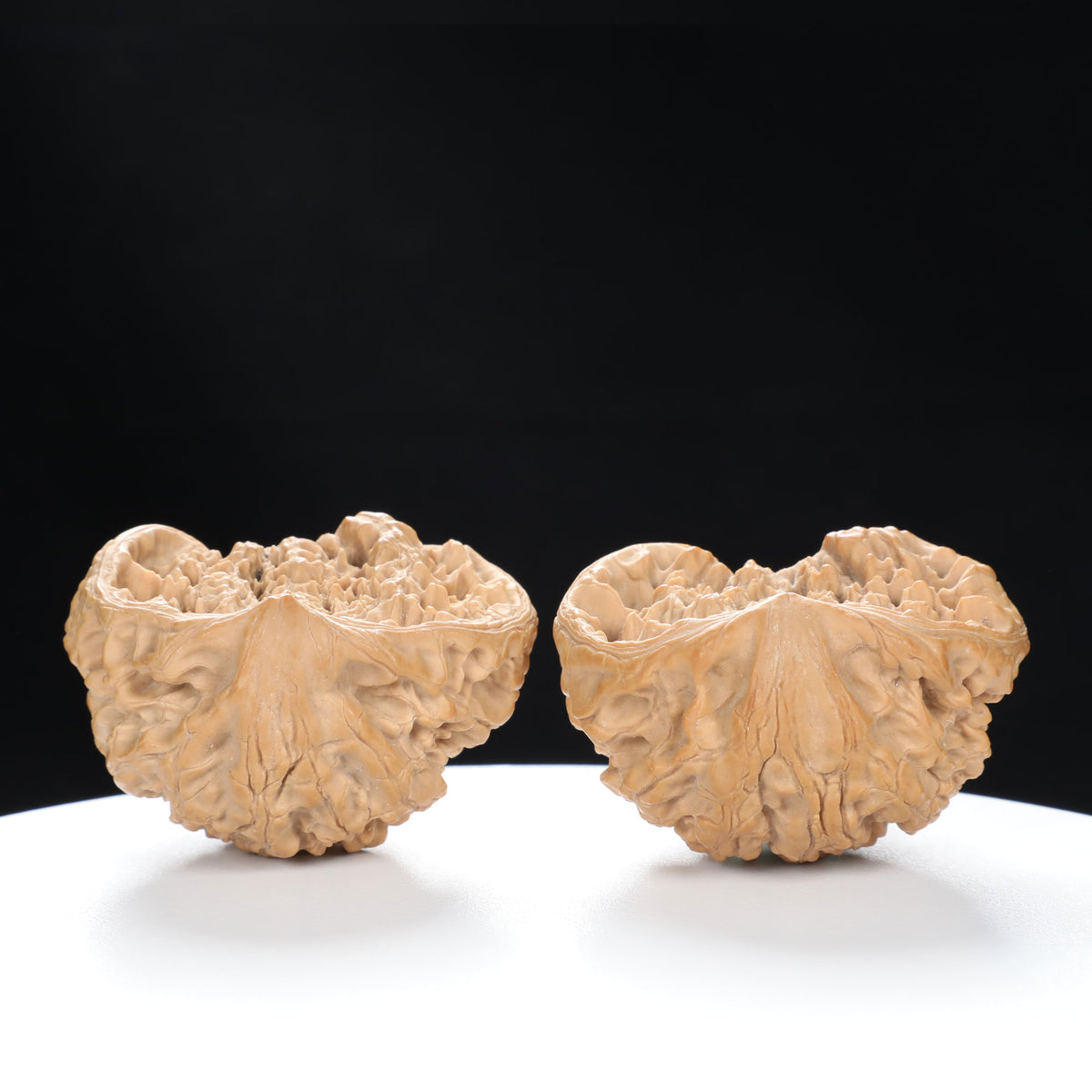 “Snake Head” Collector's Rare Deep Concave Treasure Basin Snake Head Hand-Matched Wenwan Walnuts Pair | Size:47L*30W*40H | UPI:UR-00068