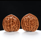 “Qilin Scale Pattern” Imperial Collection Qilin Guanmao Walnuts Pair | Size:48L*50W*47H | UPI:UR-00054
