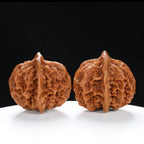 “Qilin Scale Pattern” Imperial Collection Qilin Guanmao Walnuts Pair | Size:48L*50W*47H | UPI:UR-00054