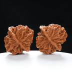 “Qilin Scale Pattern” Imperial Collection Qilin Guanmao Walnuts Pair | Size:48L*50W*47H | UPI:UR-00054